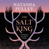 Produktbild: The Salt King