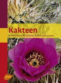 Produktbild: Kakteen