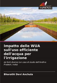 Produktbild: Impatto delle WUA sull'uso efficiente dell'acqua per l'irrigazione