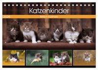 Produktbild: Katzenkinder - Britisch Kurzhaar (Tischkalender 2026 DIN A5 quer), CALVENDO Monatskalender