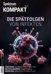 Produktbild: Spektrum Kompakt - Die Sp&auml;tfolgen von Infekten