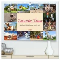 Produktbild: Tierische Toons (hochwertiger Premium Wandkalender 2026 DIN A2 quer), Kunstdruck in Hochglanz