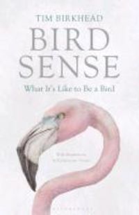 Produktbild: Bird Sense