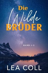 Produktbild: Die Wilde Br&uuml;der: Band 1-3