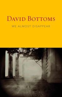 Produktbild: We Almost Disappear
