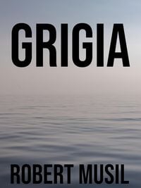 Produktbild: Grigia