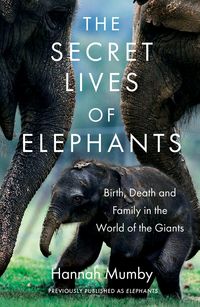 Produktbild: The Secret Lives of Elephants