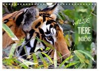 Produktbild: Wilde Tiere Indiens (Wandkalender 2026 DIN A4 quer), CALVENDO Monatskalender