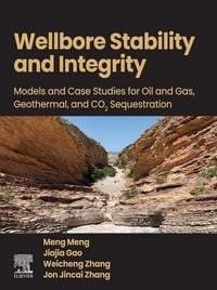 Produktbild: Wellbore Stability and Integrity