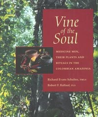 Produktbild: Vine of the Soul