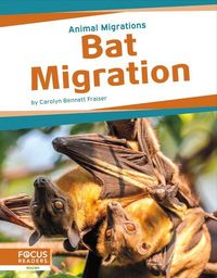 Produktbild: Bat Migration