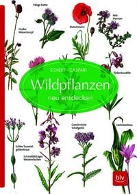 Produktbild: Wildpflanzen neu entdecken