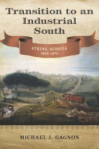 Produktbild: Transition to an Industrial South
