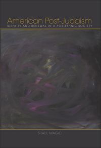 Produktbild: American Post-Judaism