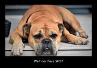 Produktbild: Welt der Tiere 2027 Fotokalender DIN A3