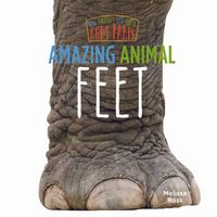 Produktbild: Amazing Animal Feet