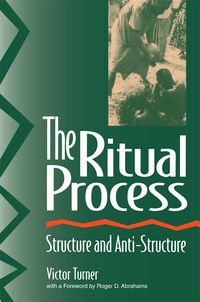 Produktbild: The Ritual Process