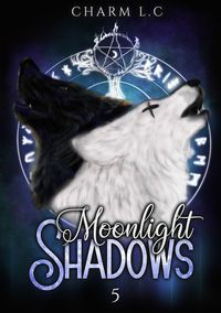 Produktbild: Moonlight shadows tome 5