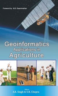 Produktbild: Geoinformatics Applications in