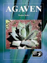 Produktbild: Agaven