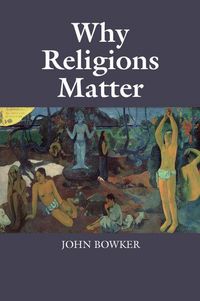 Produktbild: Why Religions Matter