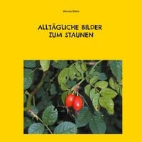 Produktbild: Allt&auml;gliche Bilder zum Staunen