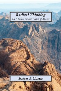 Produktbild: Radical Thinking