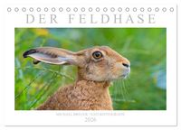 Produktbild: Der Feldhase (Tischkalender 2026 DIN A5 quer), CALVENDO Monatskalender