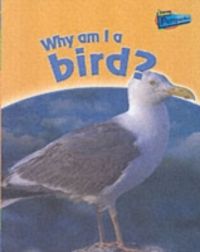 Produktbild: Pyres, G: Why am I a Bird?