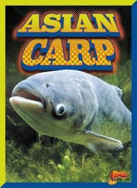 Produktbild: Asian Carp