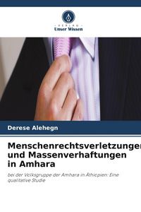Produktbild: Menschenrechtsverletzungen und Massenverhaftungen in Amhara