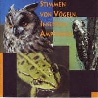 Produktbild: Stimmen Von V&ouml;geln,Insekten,Amphibien