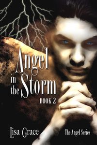 Produktbild: Angel in the Storm, Book 2 by Lisa Grace (Angel Series)