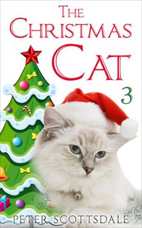 Produktbild: The Christmas Cat 3 (The Christmas Cat Tails Series, #3)