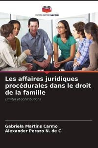 Produktbild: Les affaires juridiques proc&eacute;durales dans le droit de la famille