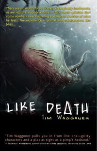 Produktbild: Like Death
