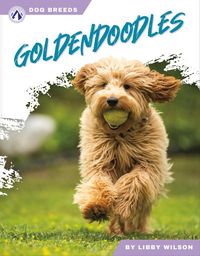 Produktbild: Goldendoodles