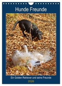 Produktbild: Hunde Freunde (Wandkalender 2026 DIN A4 hoch), CALVENDO Monatskalender