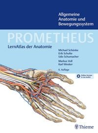 Produktbild: PROMETHEUS Allgemeine Anatomie und Bewegungssystem