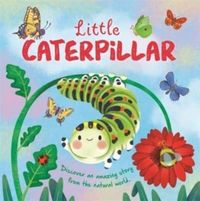 Produktbild: Little Caterpillar