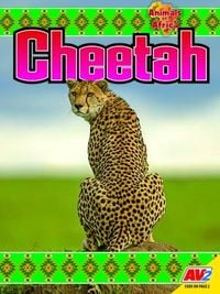 Produktbild: Cheetah