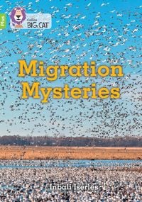 Produktbild: Migration Mysteries