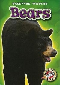 Produktbild: Bears