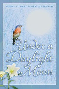 Produktbild: Under A Daylight Moon