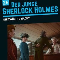 Produktbild: Die zw&ouml;lfte Nacht