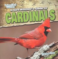 Produktbild: A Bird Watcher's Guide to Cardinals
