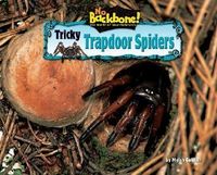 Produktbild: Tricky Trapdoor Spiders