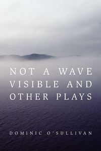 Produktbild: Not a Wave Visible and other plays