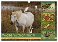 Produktbild: Wildes S&uuml;dfrankreich (Wandkalender 2027 DIN A3 quer), CALVENDO Monatskalender