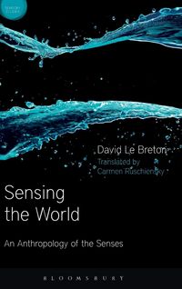 Produktbild: Sensing the World
